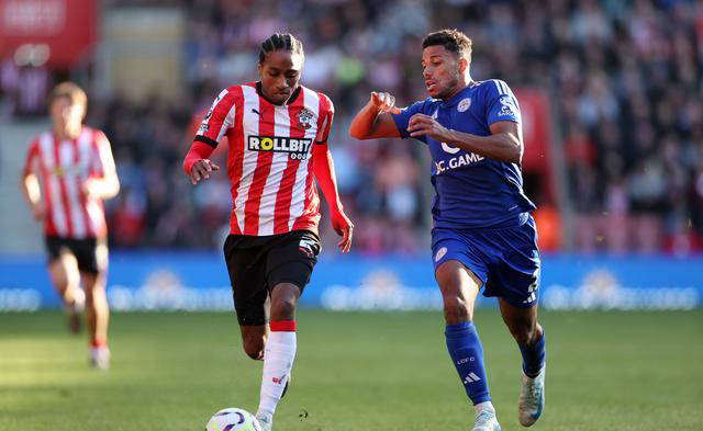 关于南安普顿客场险胜埃弗顿，领跑保级形势的信息