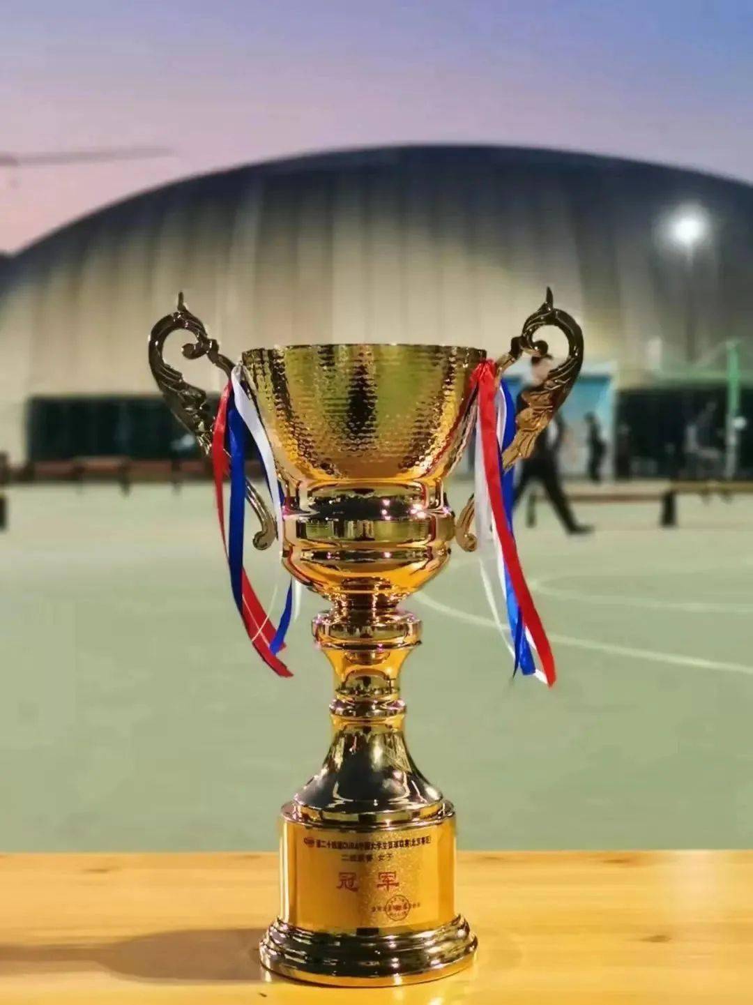 新加坡击败南非女篮，获得小组第二