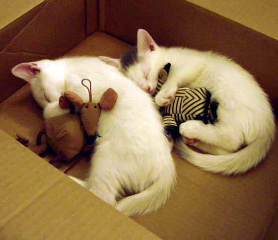 PG电子娱乐-快船击溃76人，字母哥关键时刻的统治力改写比赛剧本